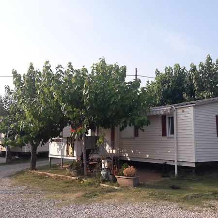 Camping Vila Village Sant Feliu de Buixalleu Luaran gambar