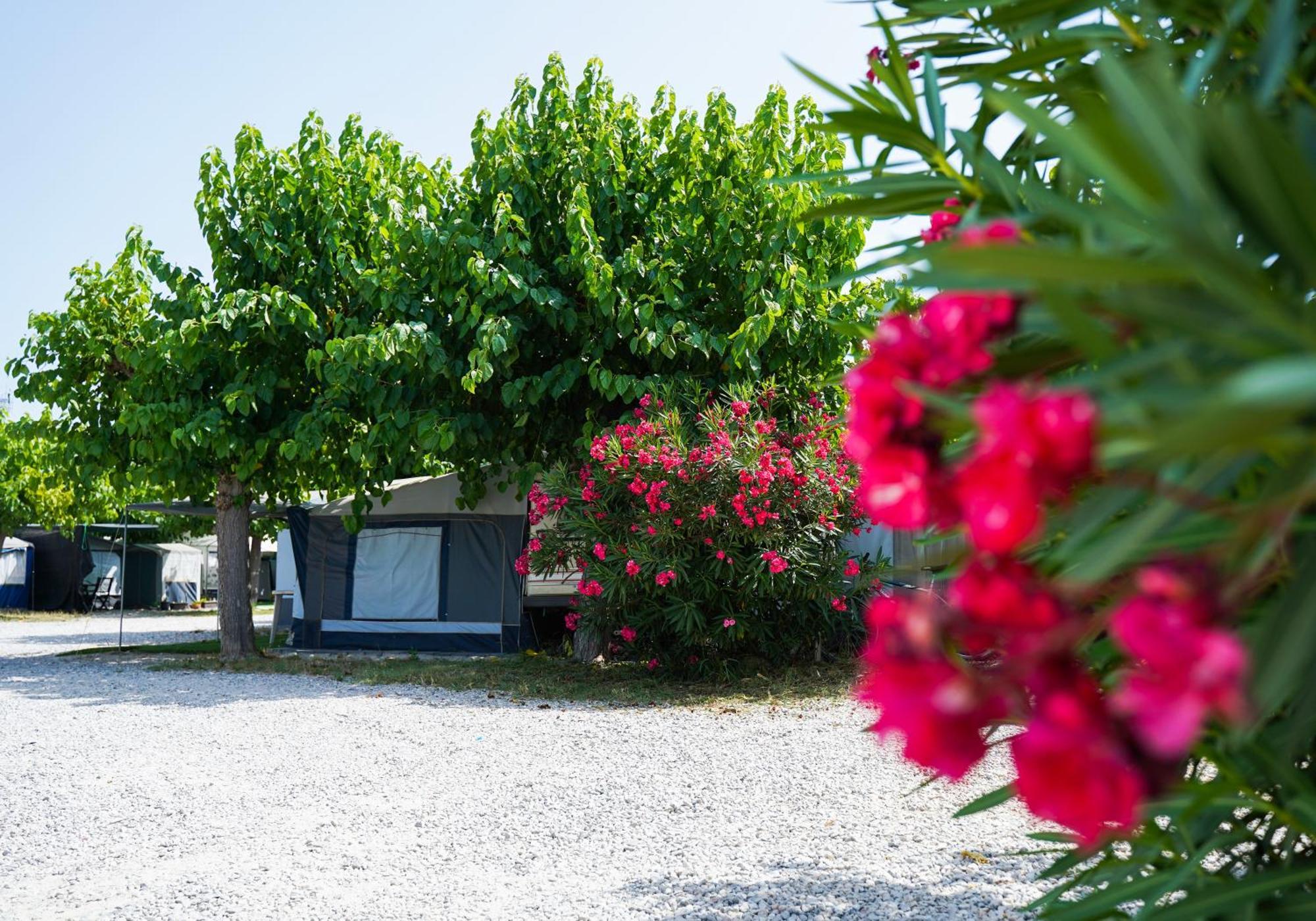 Camping Vila Village Sant Feliu de Buixalleu Luaran gambar